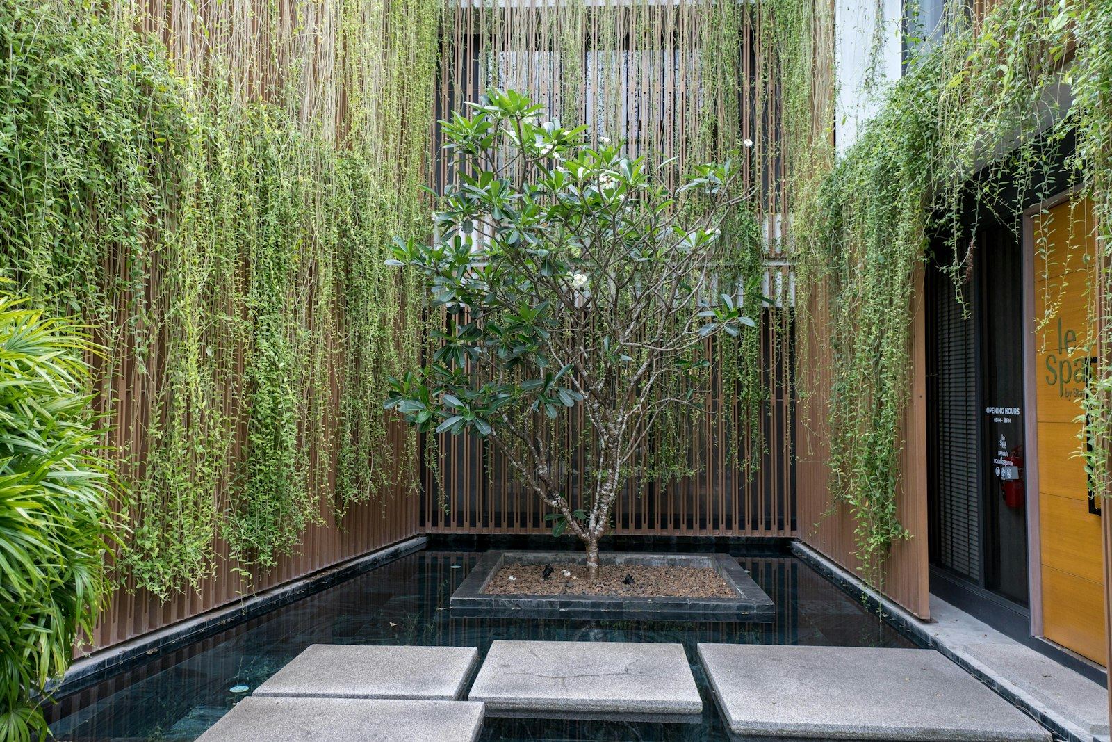 Serene interior of Tucson Med Spa with natural light